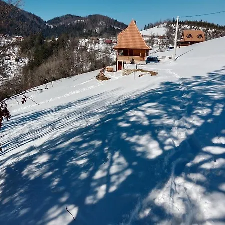 Zaovinska Panorama I *