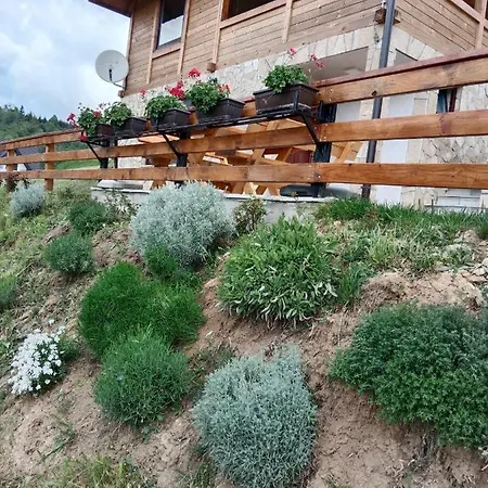 Zaovinska Panorama I *