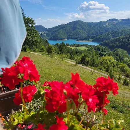 Zaovinska Panorama I Bajina Basta